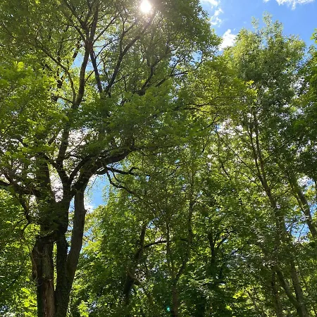 Prázdninový dům Manoir Et Avec Piscine Au Domaine De Bize