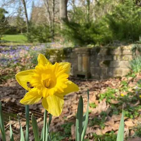 Manoir Et Avec Piscine Au Domaine De Bize Prázdninový dům Mirepoix (Ariege)