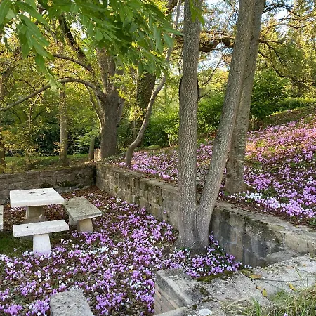 Prázdninový dům Manoir Et Avec Piscine Au Domaine De Bize *