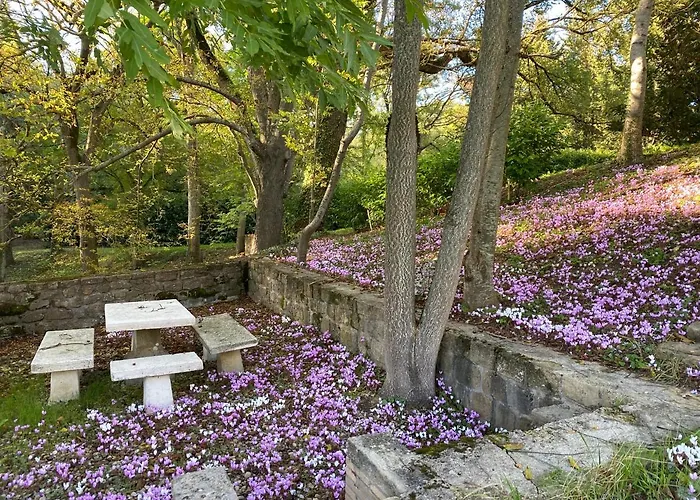 펜션 Manoir Et Avec Piscine Au Domaine De Bize *