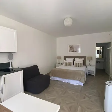 Manoir Et Avec Piscine Au Domaine De Bize Mirepoix Сasa de vacaciones