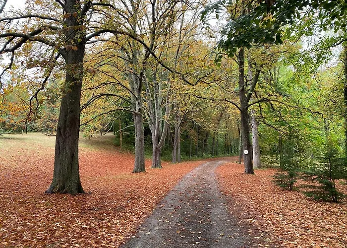 Manoir Et Avec Piscine Au Domaine De Bize * ミルポワ