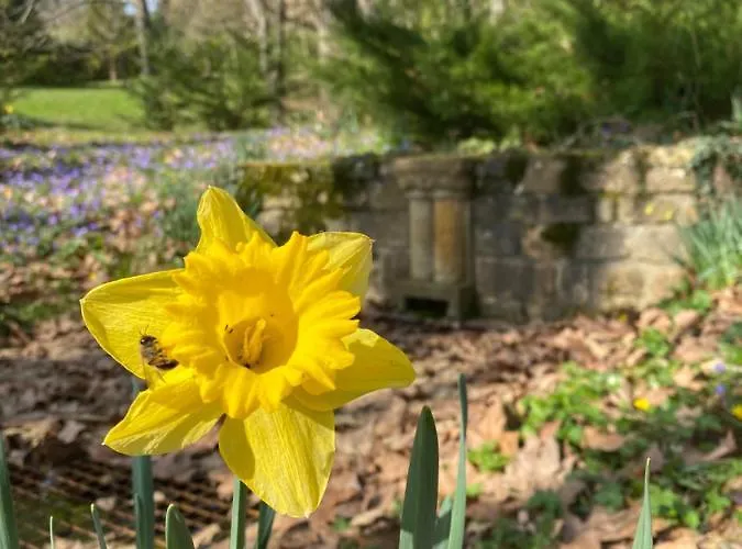 Manoir Et Avec Piscine Au Domaine De Bize 別荘 ミルポワ